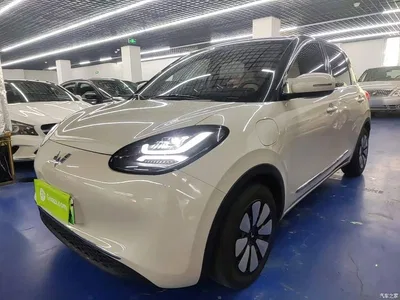 2024 Wuling Motors Wuling Bingo 333km Comfort Edition, фото 1, лот 10368009