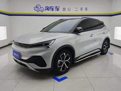 2024 Byd Yuan Plus, фото 1, лот 10248024
