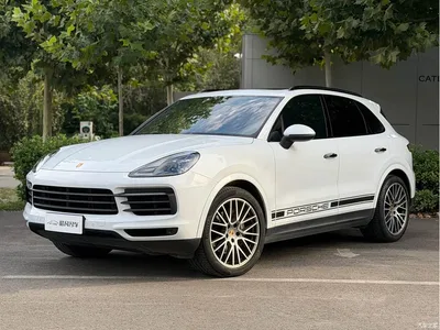 2023 Porsche Cayenne 3.0T Platinum Edition, фото 1, лот 10241583