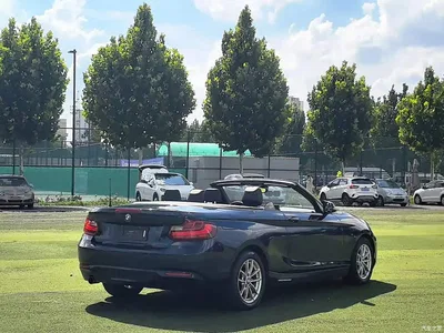 2015 BMW 2 Series (Import) 218i Convertible Coupe, фото 4, лот 10460040