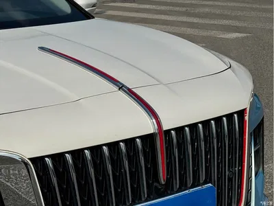 2024 Hongqi H5 1.5T DCT Smart Connect Flag Joy Edition, фото 2, лот 11175783