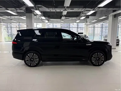 2025 Denza N8L Standard, фото 4, лот 10345668