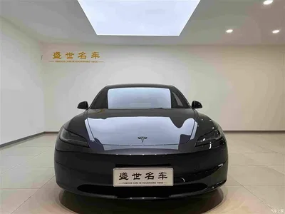 2025 Tesla Model 3 Model Rear-Wheel Drive Edition, фото 2, лот 10346769