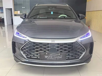 2024 BYD Tang New Energy DM-i Honor Edition 112KM Premium, фото 2, лот 11450940