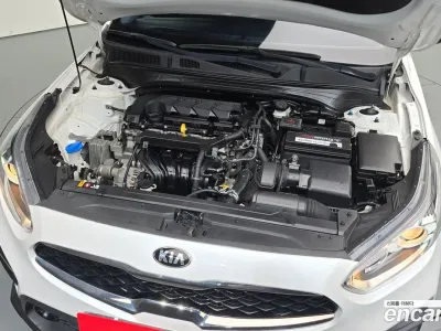 2019 Kia K3 Luxury, фото 4, лот 10038366