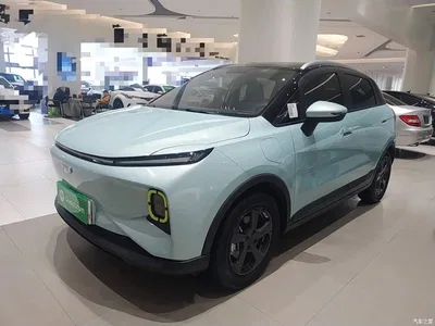2022 Geely E Firefly 401KM Delicate Tiger 4-seater, фото 2, лот 11155722