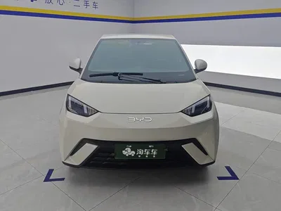 2024 BYD Seagull Glory Edition 305km Vitality Edition, фото 2, лот 10247005