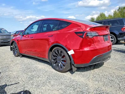 2023 TESLA MODEL Y, фото 2, лот 10856424