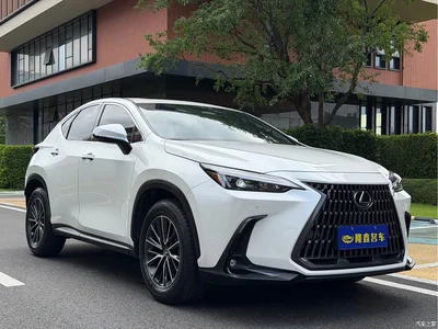 2023 Lexus NX 260 FWD Dynamic Edition, фото 3, лот 11565638