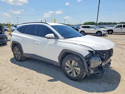 2024 HYUNDAI TUCSON BLUE, фото 4, лот 10736705