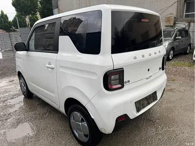 2024 Geely Galaxy Panda mini 200km Endurance Bear, фото 4, лот 10432293
