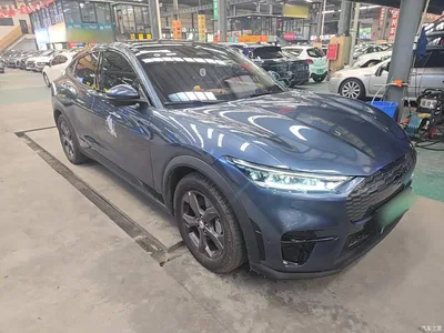 2021 Ford Mustang Mach-E Leap World RWD (Standard Range), фото 4, лот 10482088