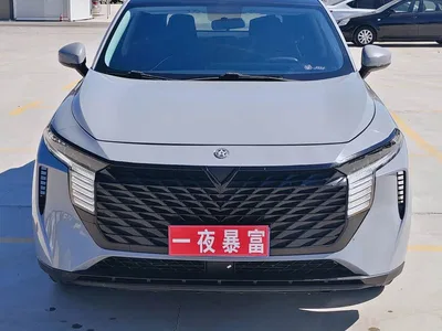 2022 Venucia Big V 260T Dark Horse Edition·Idol, фото 2, лот 11153627
