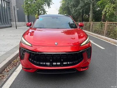 2021 Dongfeng Fengxing T5 EVO 1.5TD DCT Glory Edition, фото 2, лот 11188720
