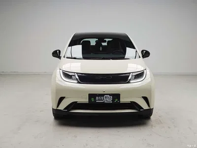 2021 BYD Dolphin Model 405km Fashion Edition, фото 2, лот 10827317