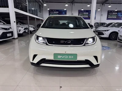 2025 BYD Dolphin 420km Freedom Edition, фото 2, лот 10258017
