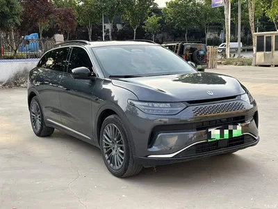 2024 Leapmotor C11 Extended Range 300 Premium Edition, фото 3, лот 11509236