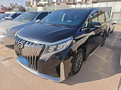 2021 GAC Trumpchi Trumpchi M8 Master Series 390T Ultimate Edition, фото 1, лот 11579814