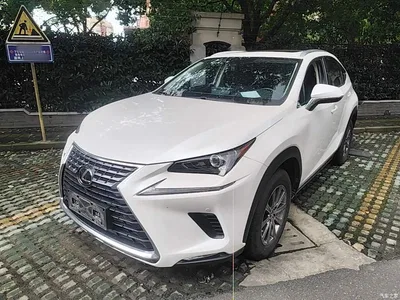 2020 Lexus NX 200 AWD F Sport China VI, фото 1, лот 10319206