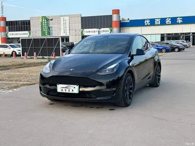 2021 Tesla Model Y Standard Range Rear-Wheel Drive, фото 1, лот 11090120