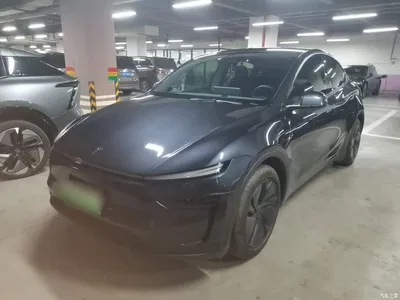 2025 Tesla Model Y Rear-Wheel Drive, фото 1, лот 10620092