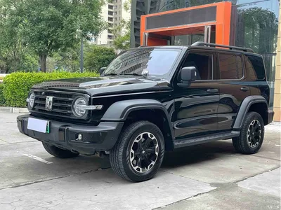2025 Tank 300 New Energy Hi4-T, фото 1, лот 10344032