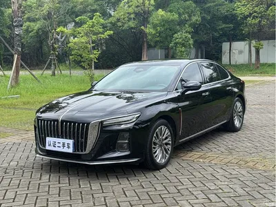 2023 Hongqi H5 2.0T Auto Smart Connect Flag Comfort, фото 1, лот 10286417