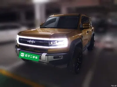 2023 Byd Leopard 5 Pilot Edition, фото 1, лот 11248648