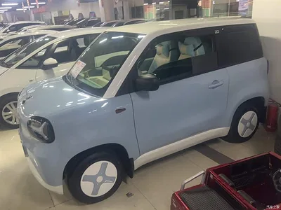 2025 Zhido Rainbow Pro 205km Sunshine Edition, фото 2, лот 10457213