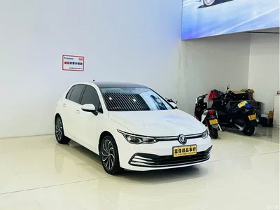 2021 Volkswagen Golf 280TSI DSG Pro, фото 1, лот 10442836