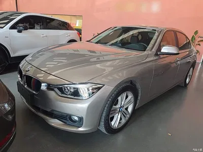 2017 BMW 3 Series 320Li Fashion, фото 2, лот 10457750