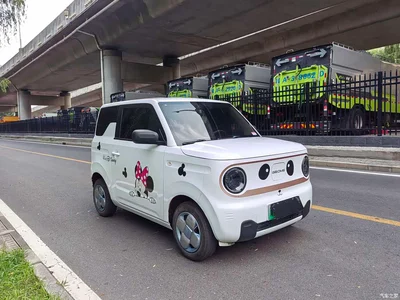 2024 Geely Galaxy Panda mini 200km Endurance Bear, фото 3, лот 10430994