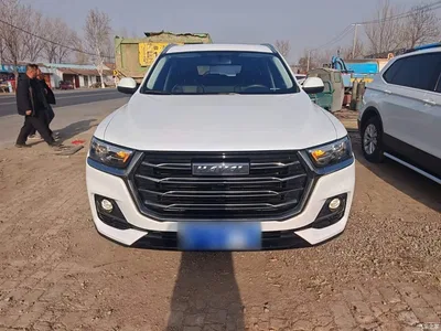 2021 Haval H6 National Trend Edition 1.5T Automatic Urban Edition, фото 3, лот 10287130