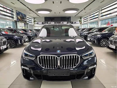 2022 BMW X5 xDrive 30Li Premium M Sport Package, фото 2, лот 10629920