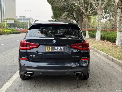 2018 BMW X3 xDrive30i Leading M Sport Package China V, фото 4, лот 10461356