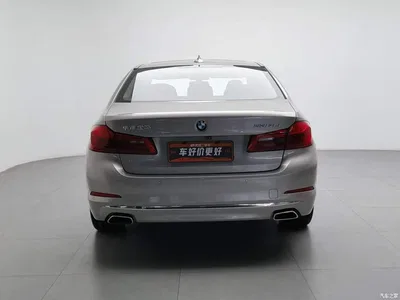 2019 BMW 5 Series 530Li Leading Luxury Package, фото 4, лот 11243596