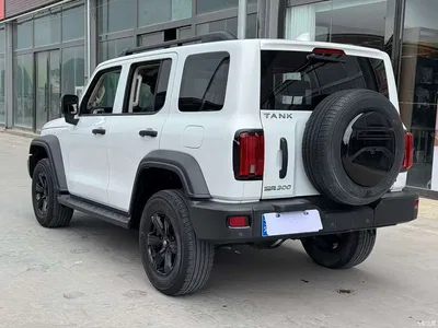 2023 Tank 300 Off-Road Edition 2.0T Conqueror, фото 4, лот 10450120