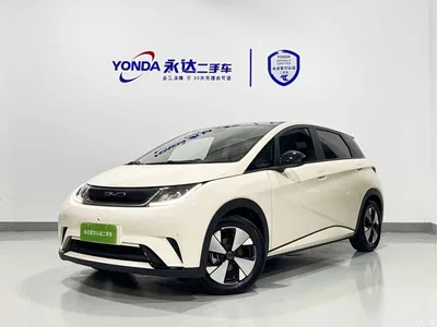 2023 BYD Dolphin 420km Fashion Edition, фото 1, лот 10766143