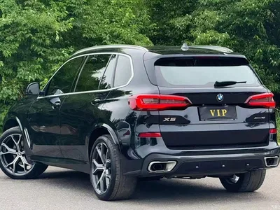 2022 BMW X5 Model xDrive 40Li M Sport Package, фото 3, лот 10434596