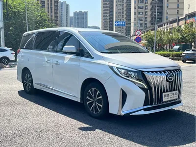 2021 GAC Trumpchi Trumpchi M8 Leading Show Series 390T Luxury Edition, фото 3, лот 11579875