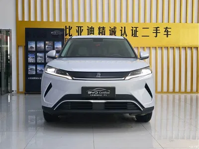 2025 BYD Yuan UP Model 301KM Navigator, фото 2, лот 11582103