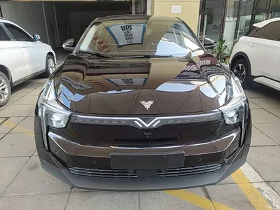 2021 Nezha Auto Neta U Pro 500 Global Edition, фото 3, лот 10447713