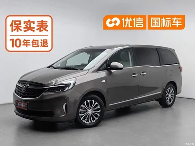 2021 Buick GL8 Land Business Class 652T Luxury, фото 1, лот 10405868