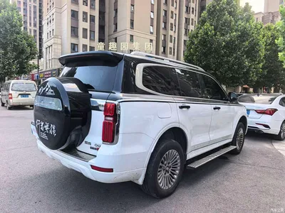 2024 Tank 500 EV Hi4-T, фото 4, лот 10848861