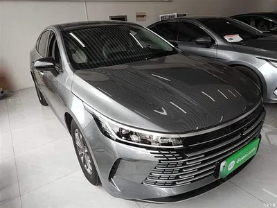 2024 BYD Destroyer 05 Glory Edition DM-i 55KM Luxury, фото 4, лот 10267824