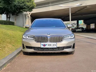 2021 BMW 5 Series New Energy 535Le Luxury Package, фото 2, лот 10474376