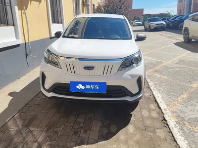 2021 Geely EX3 Kung Fu Bull Strong Bull, фото 2, лот 11156985