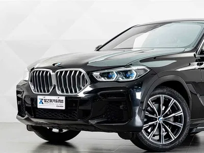 2022 BMW X6 Facelift xDrive40i M Sport Package, фото 3, лот 10414722