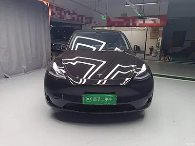 2022 Tesla Model Y Rear-Wheel Drive Version, фото 3, лот 11194947