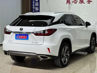 2016 Lexus RX 300 4WD Elegance Edition (China V), фото 4, лот 10312613